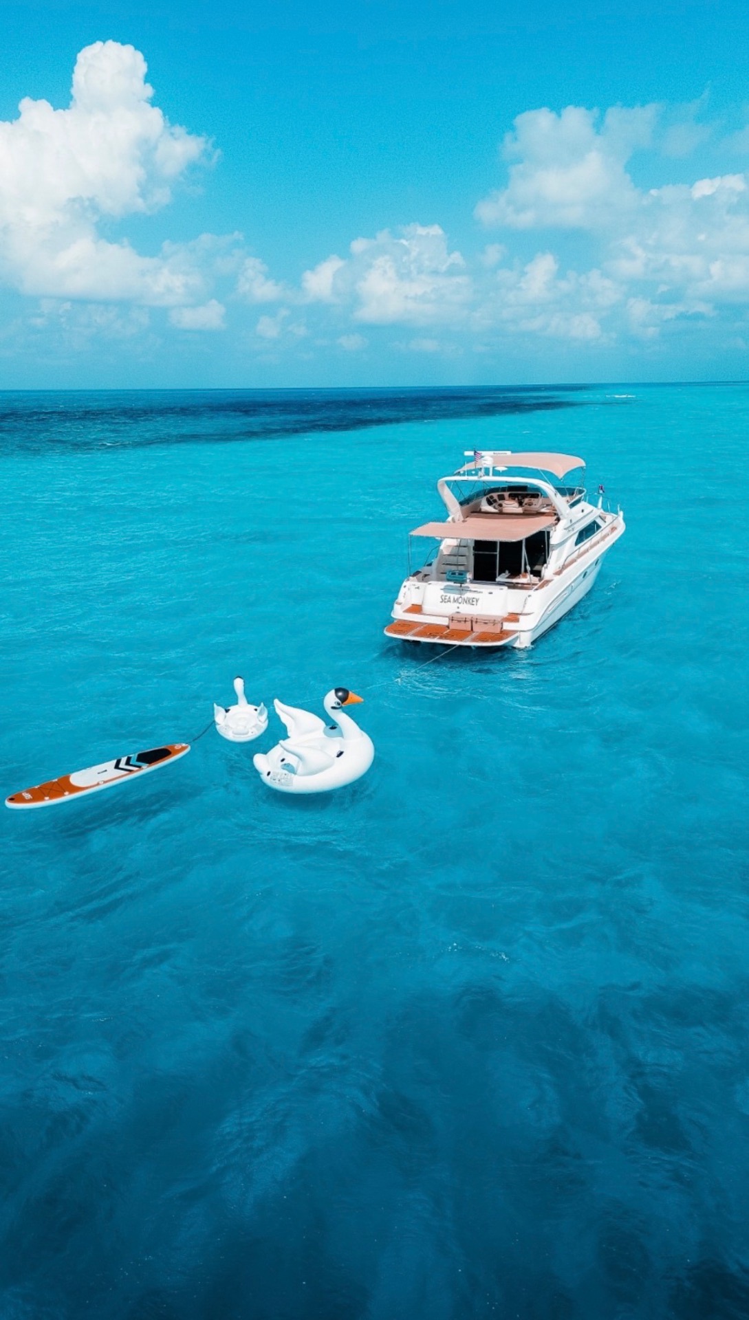 Sea Monkey — Sea Ray Flybridge 50' — Private yacht charter Cancún, Riviera Maya